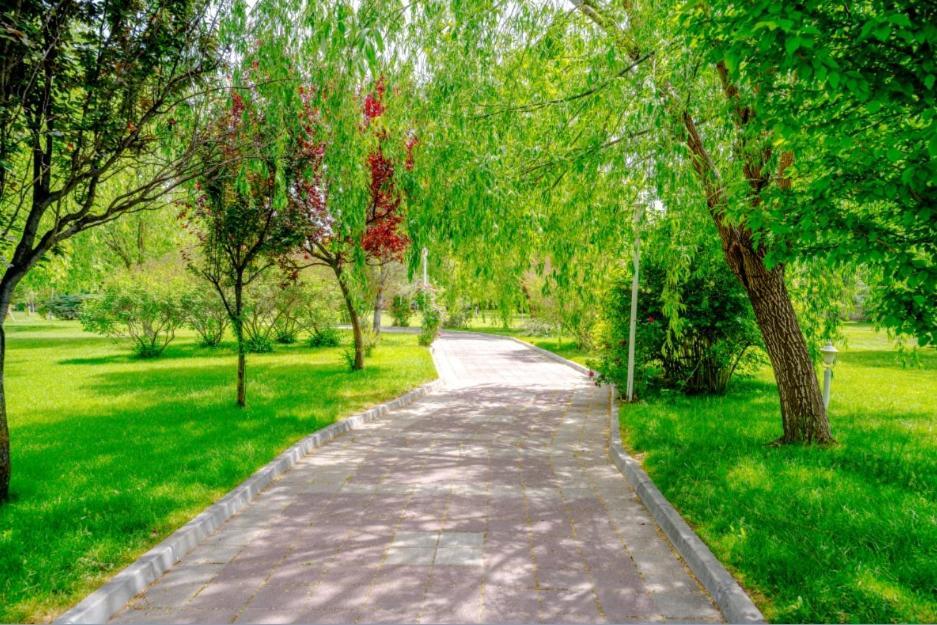 Korel Thermal Resort Afyonkarahisar Exteriér fotografie